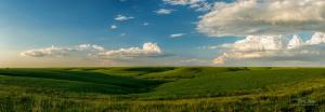 Early Spring in the Flint Hills